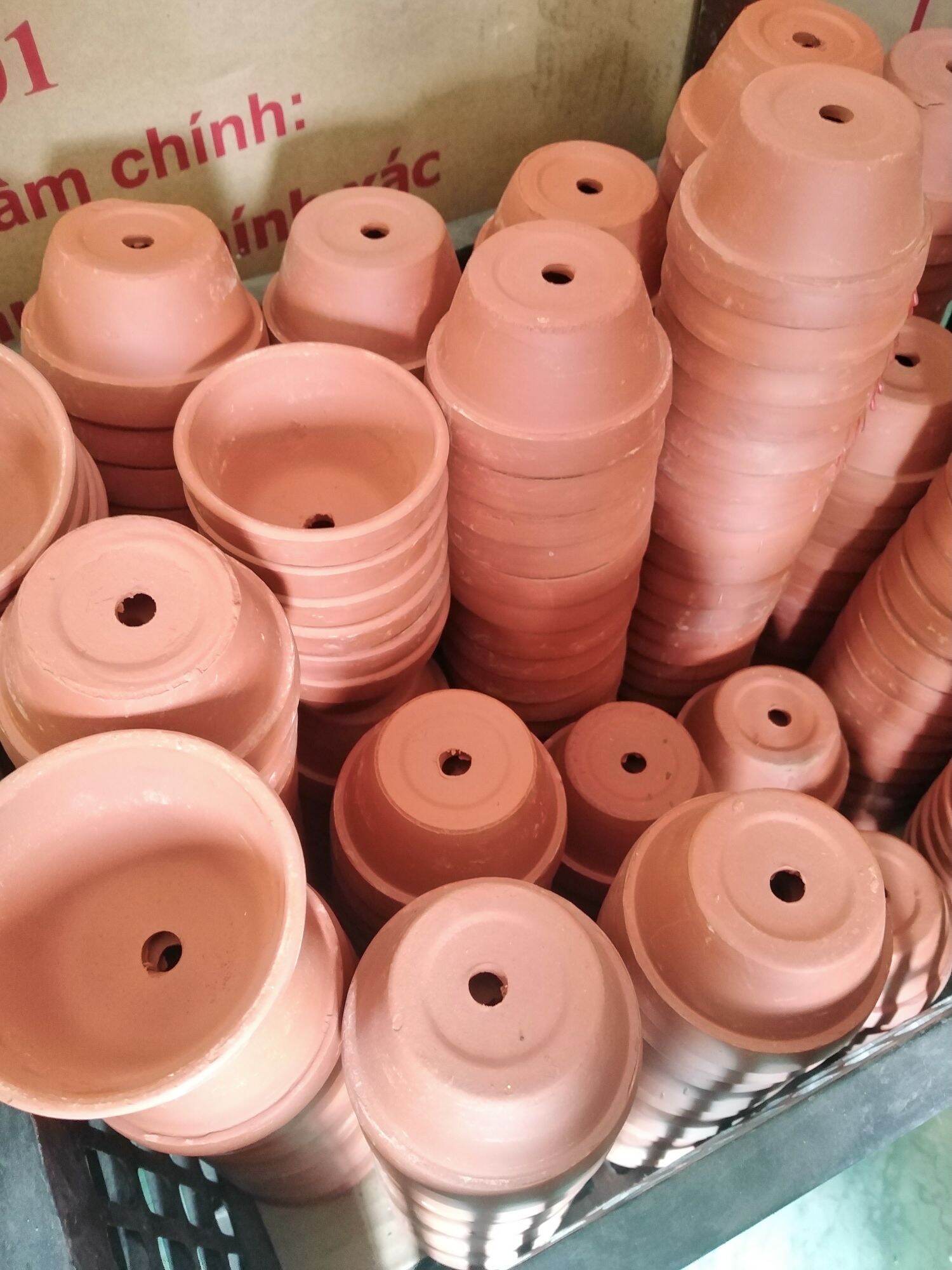Combo chậu đất nung trồng sen đá: 9x5cm, 7x4cm, 5x5cm