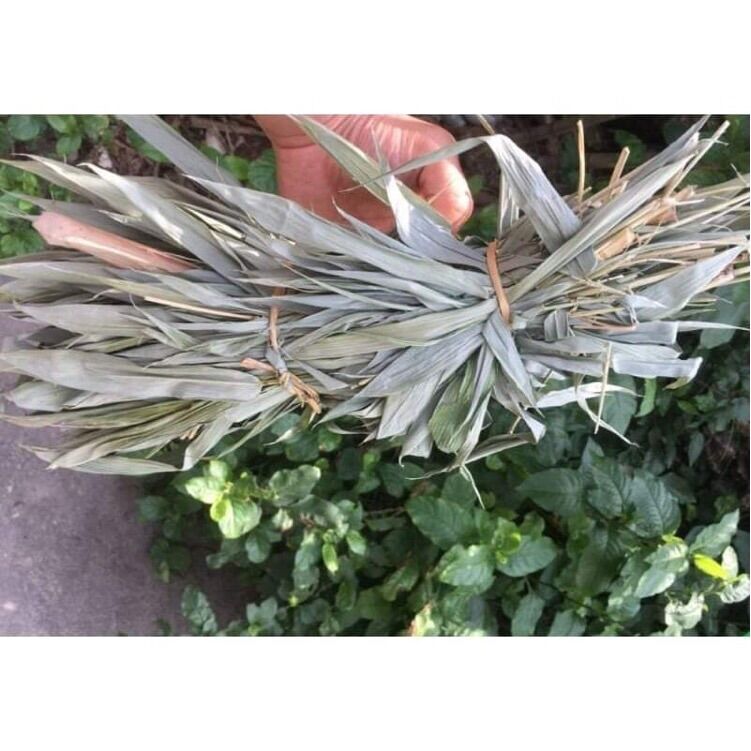 100gram lá tre khô
