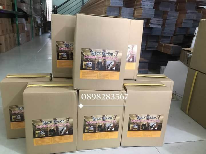 [HCM]Dung dịch nhà yến Black Potion tăng bầy đàn
