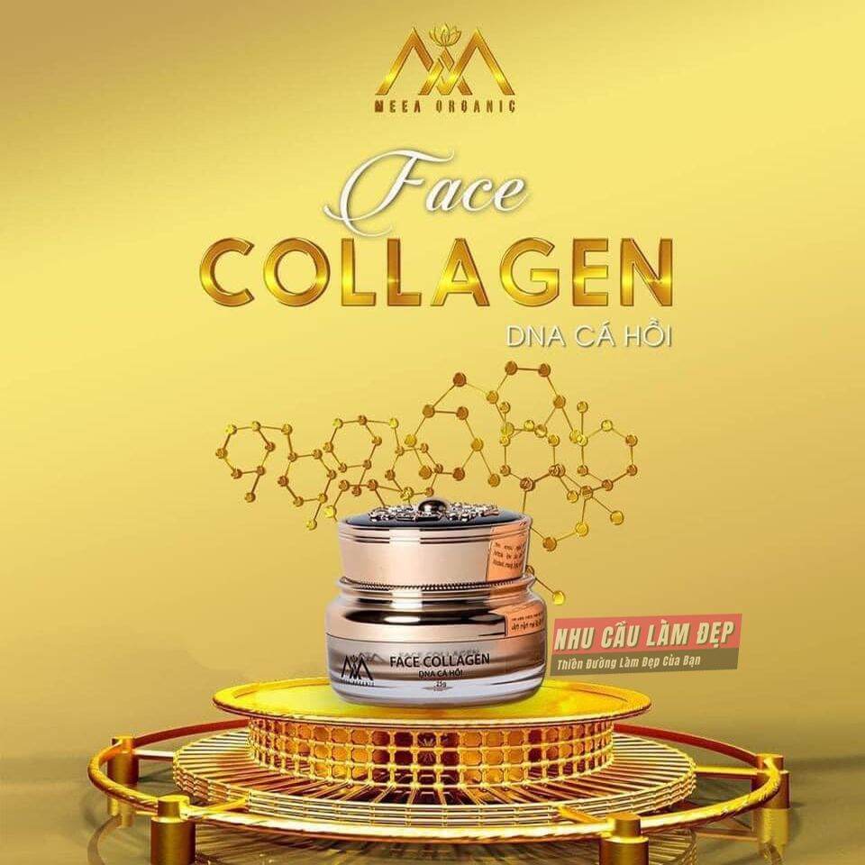 Kem face collagen DNA cá hồi MeeA organic