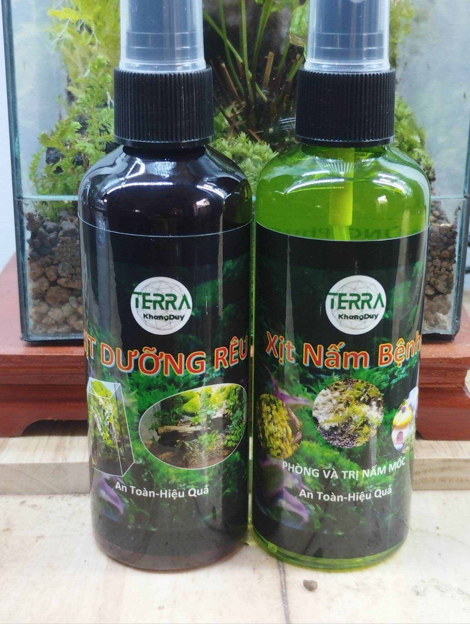 Xịt nấm, dưỡng rêu cây sỉ inb
