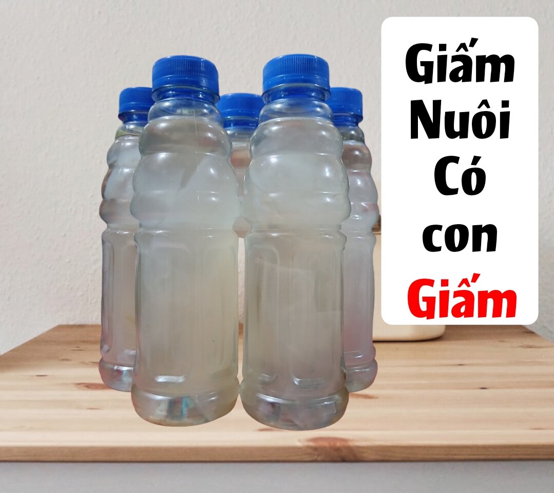 0.5 lít giấm ăn có con Giấm