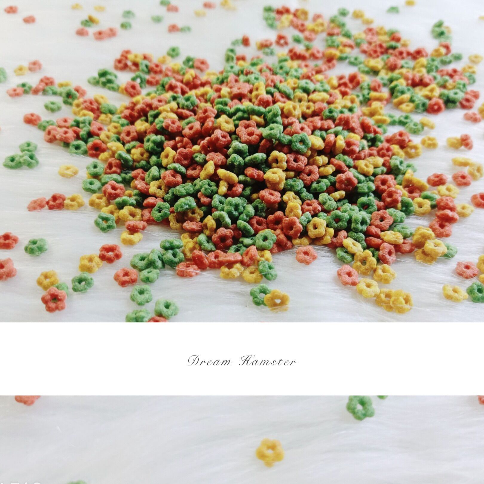 Bánh hoa phồng ngũ cốc (50gr) cho hamster