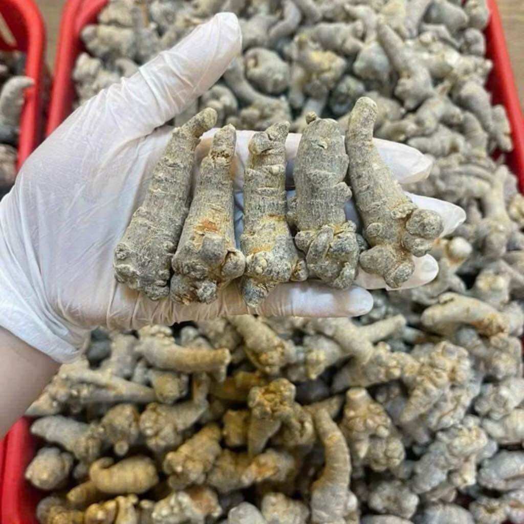[CHÍNH HÃNG] Củ Tam Thất Bắc Khô ( Size Củ 50 /1kg To Lạc Khô Chuẩn )