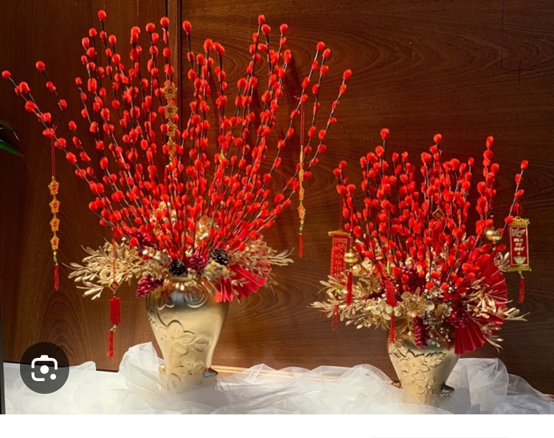 Nụ Tầm Xuân hàng tuyển đẹp xuất sắc. Bó 10 cành hoa nụ tầm xuân size 120cm