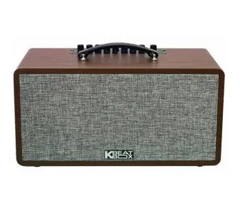 Loa Acnos CS 390
