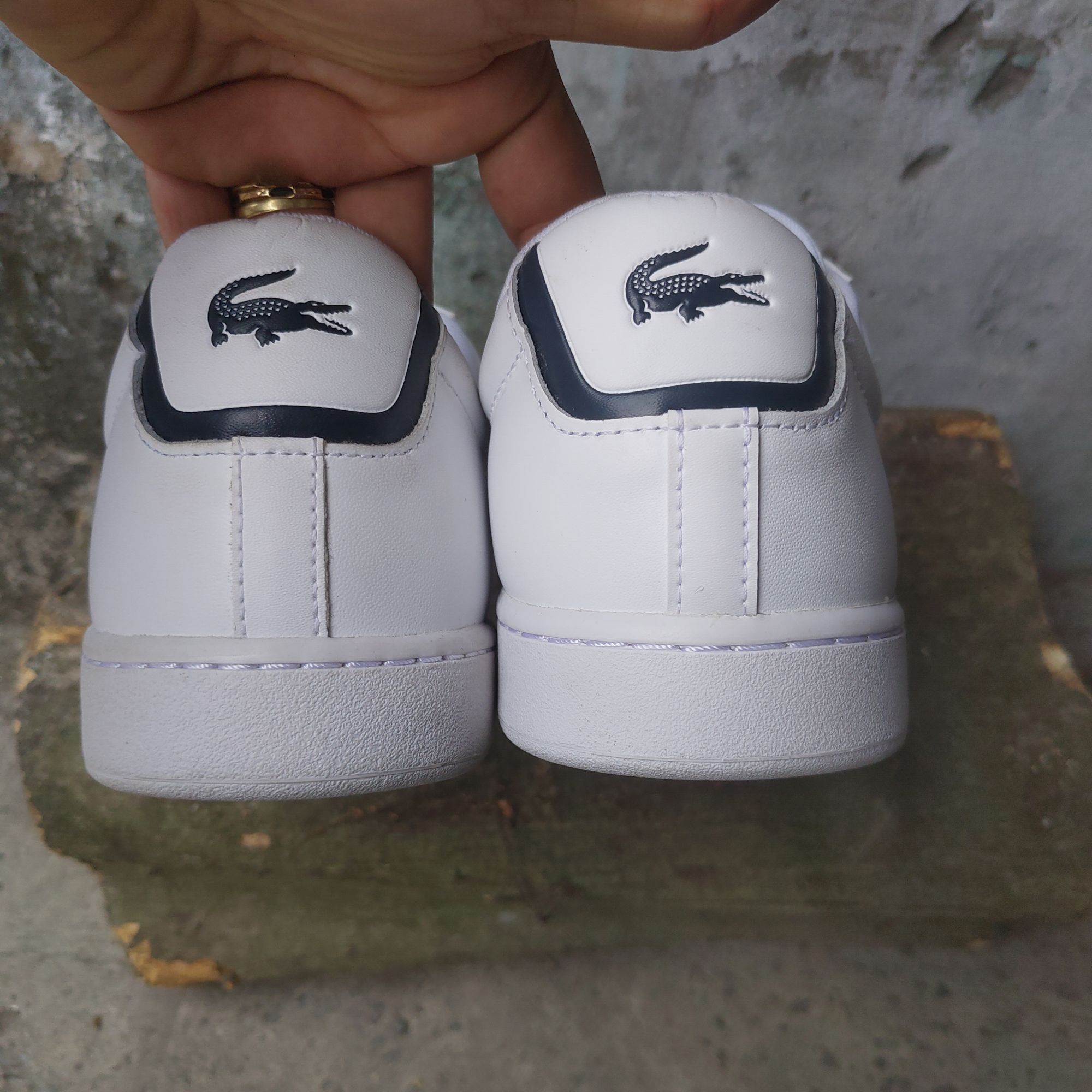 Giày new lacoste big size