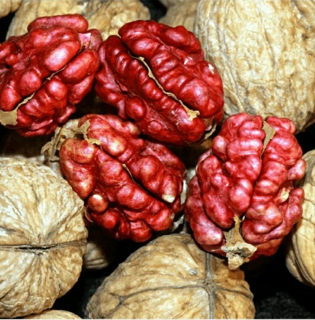 Nhân Hạt Óc Chó Đỏ Đã Tách Vỏ Hũ 500gr