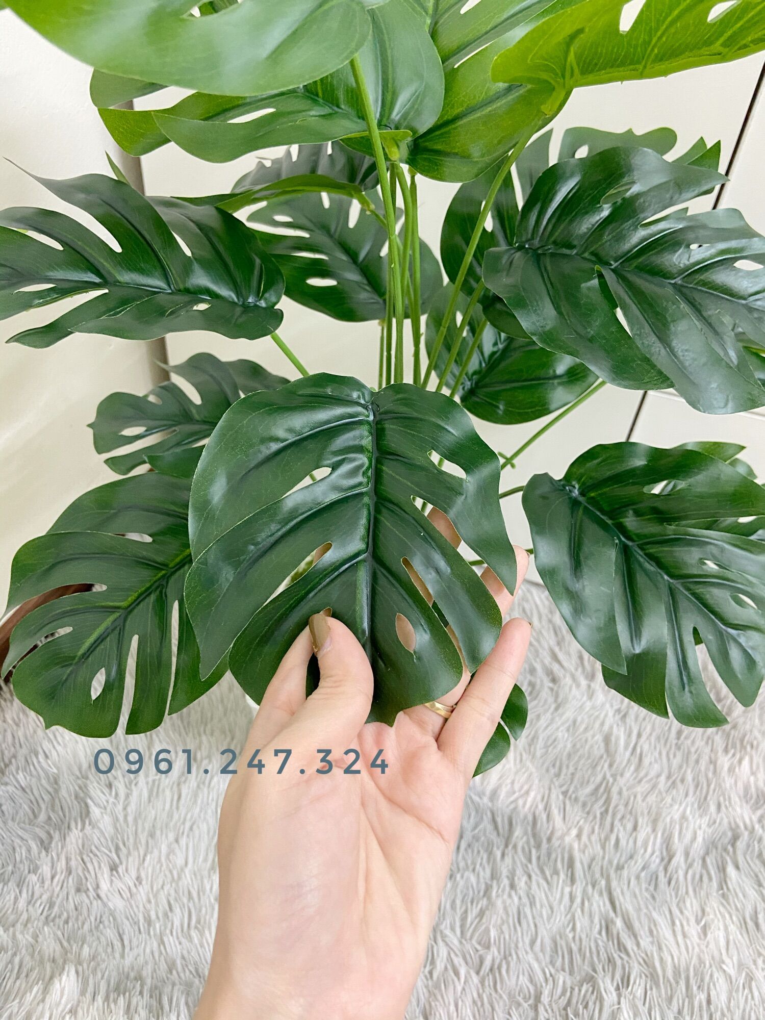 Cây giả - cây lá rùa 50cm
