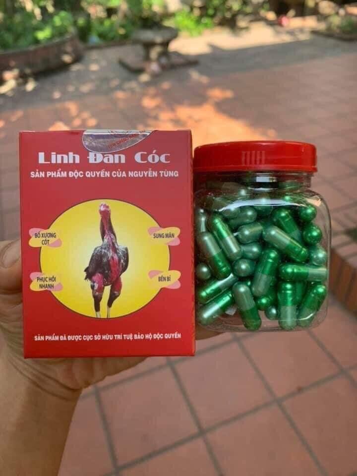 Linh Đan Cóc Gà Đá
