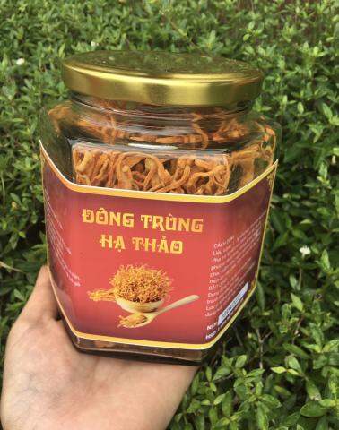 Đông trùng hạ thảo 100g