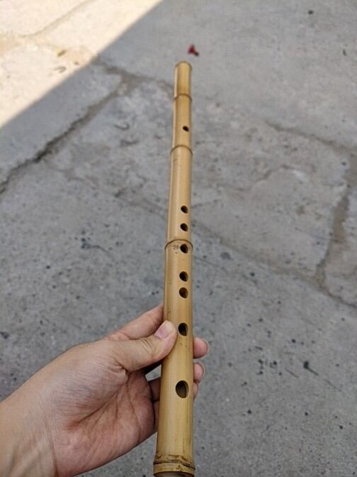 Sáo trúc đô c5 nguyên liệu trúc âm hay