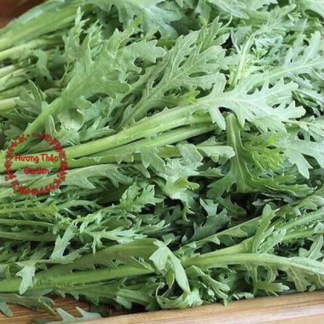 Hạt giống Tần Ô - Cải Cúc
