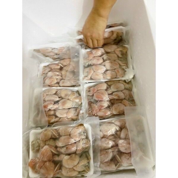 Đùi ếch bịch 500g (giao hỏa tốc tphcm)