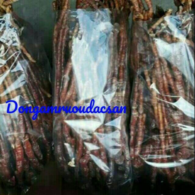 Nấm sừng hươu tây bắc 1kg