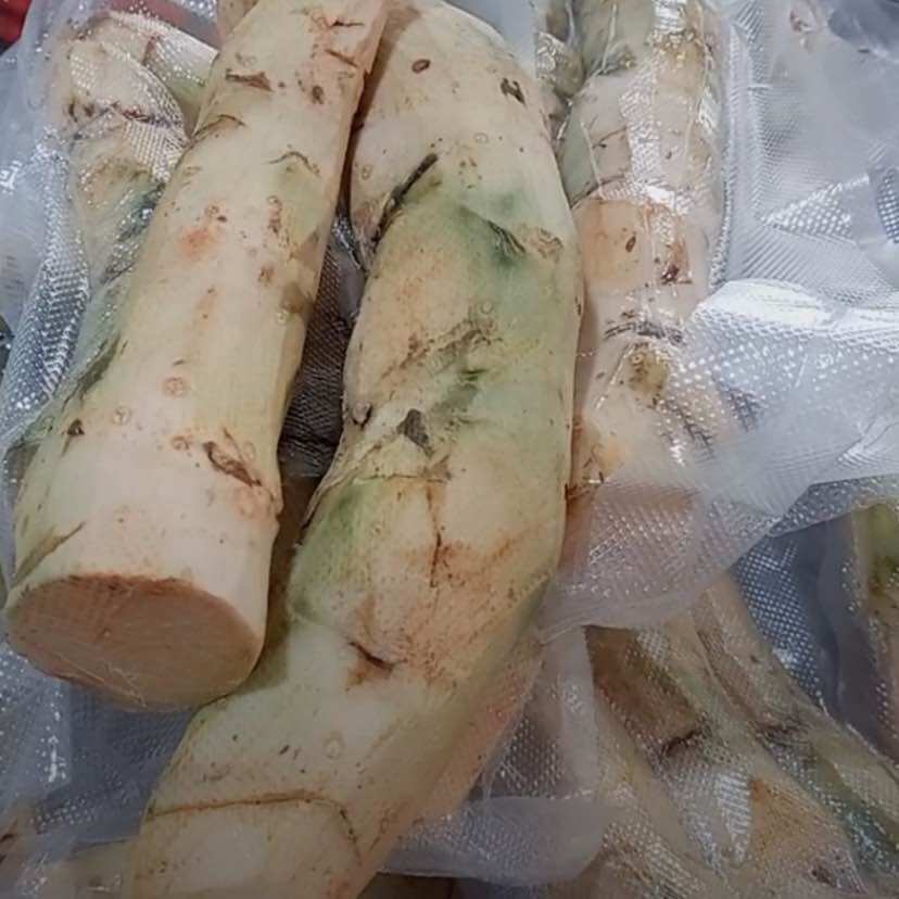 [Combo 3kg] Củ rau móp tươi đào từ sông