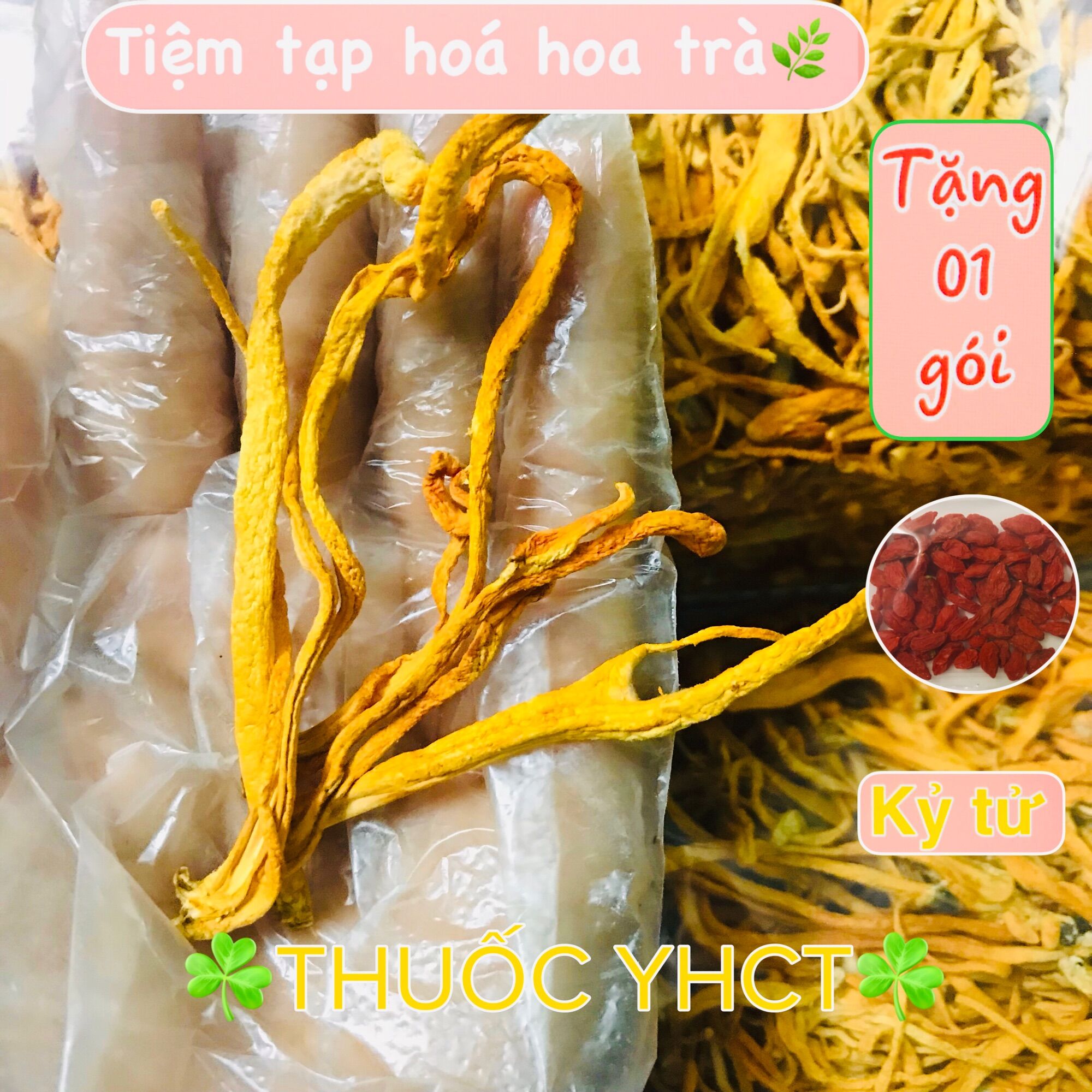 Đông trùng hạ thảo cao cấp túi 100g