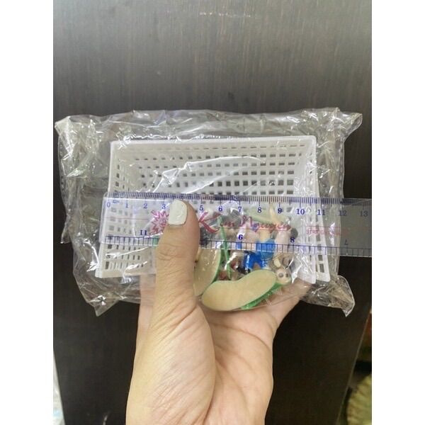 Bộ bóng đá 2 team và cầu thủ như ảnh
