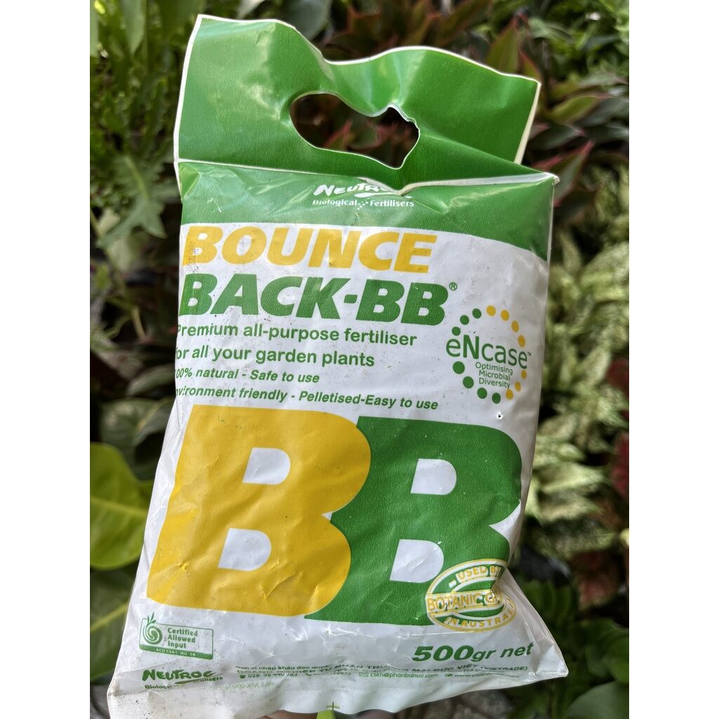 1kg phân cá hữu cơ úc  BB Bounce Back dạng viên đậm đặc.