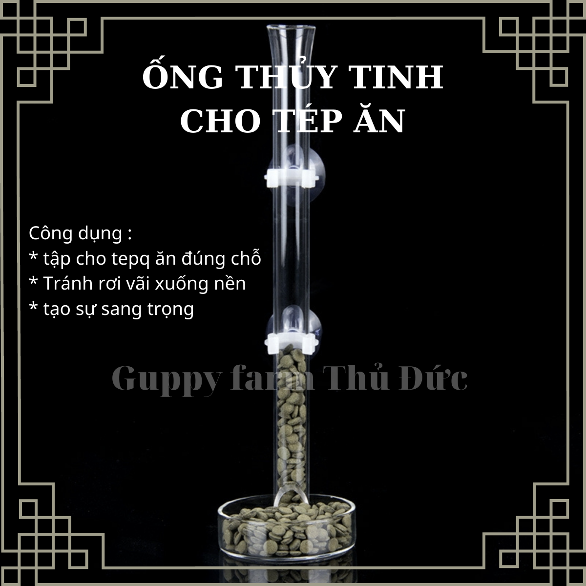 bộ dụng cụ bằnh thủy tinh cho cá tép ăn - dụng cụ cho tép ăn - dài 35cm