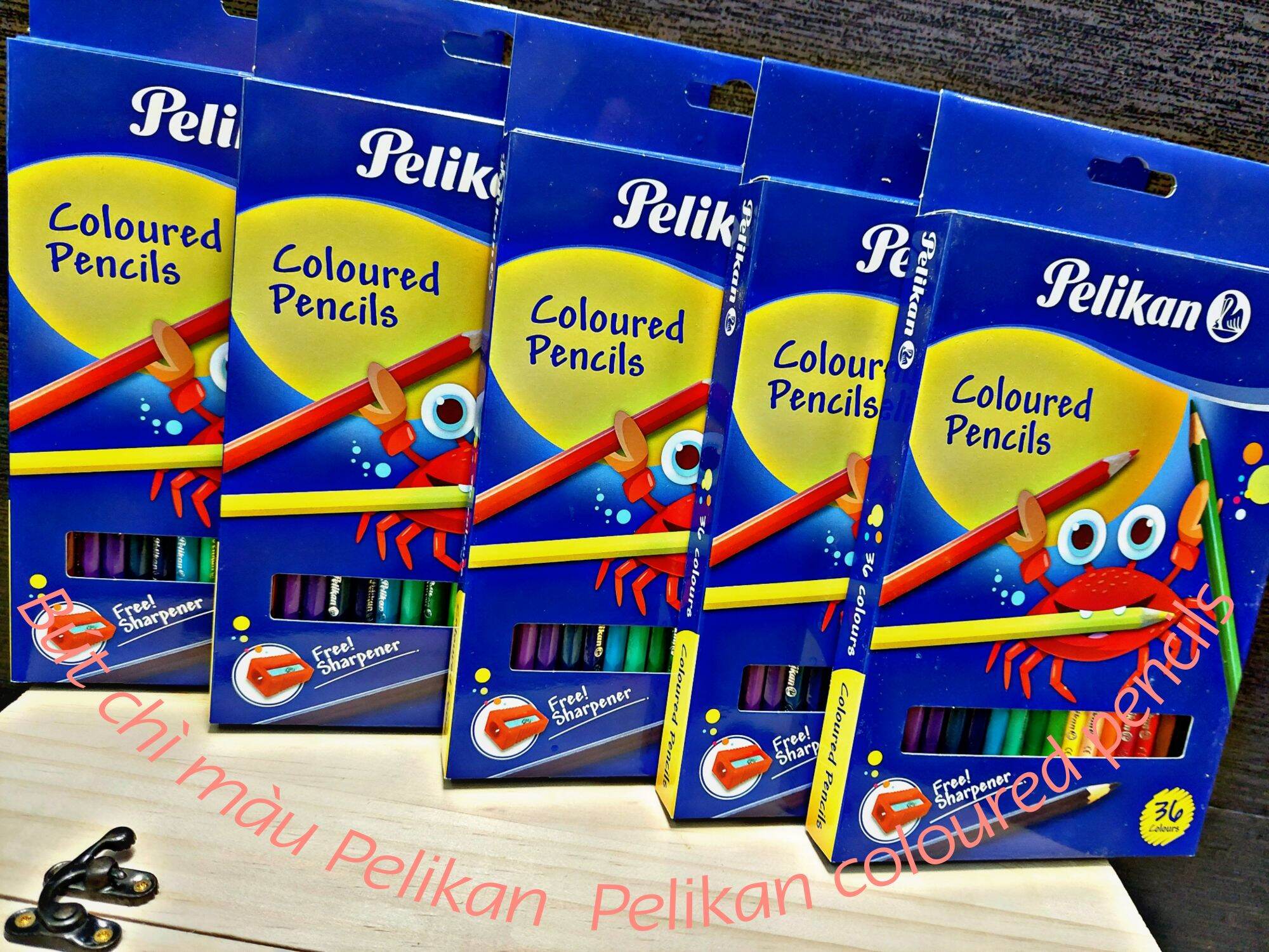 Bút chì màu Pelikan , 36 màu cao cấp.