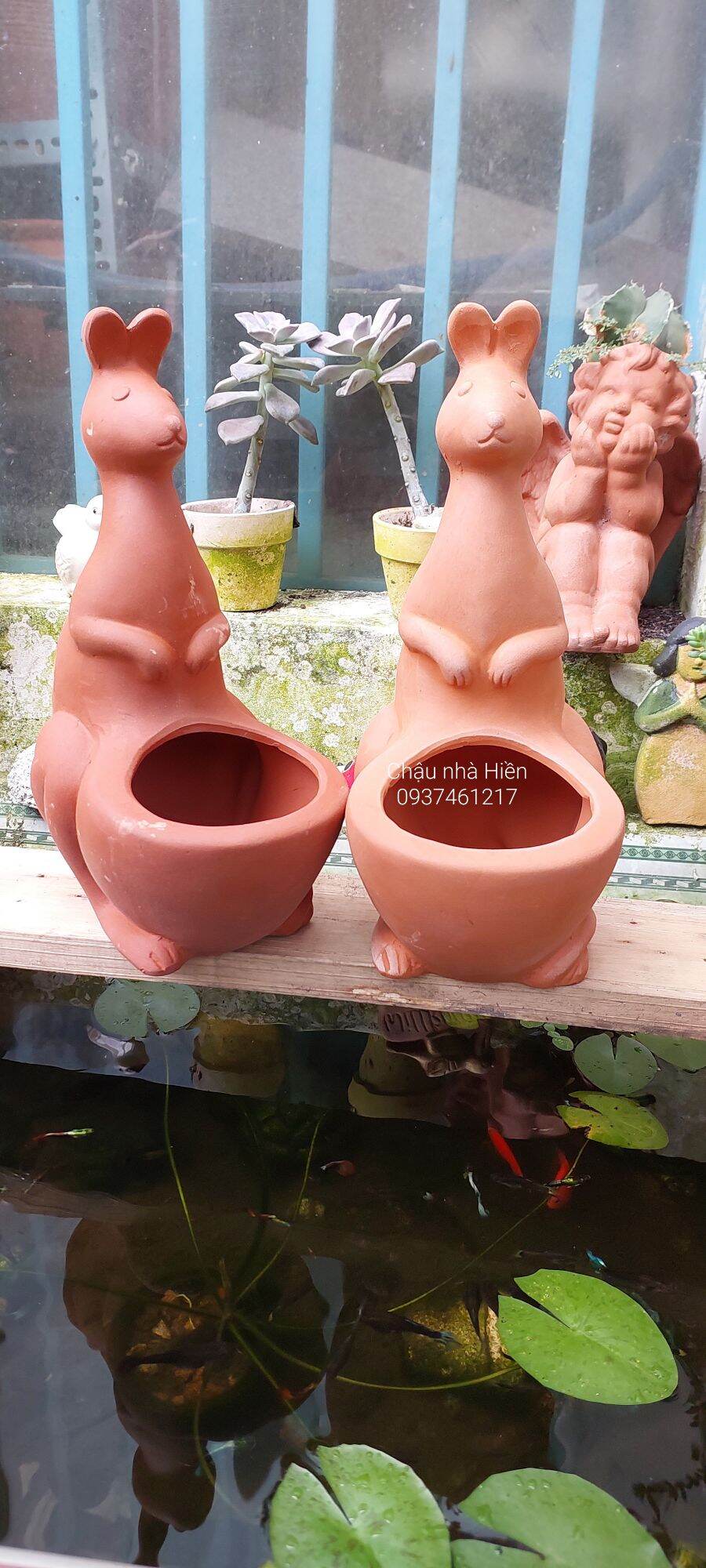 Chậu đất nung bình dương chuột túi m 7.5 x 8.5 cao 28