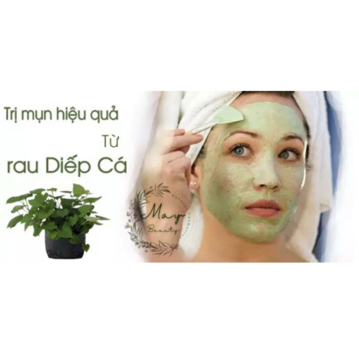 100g Bột diếp cá hữu cơ sấy lạnh tự nhiên