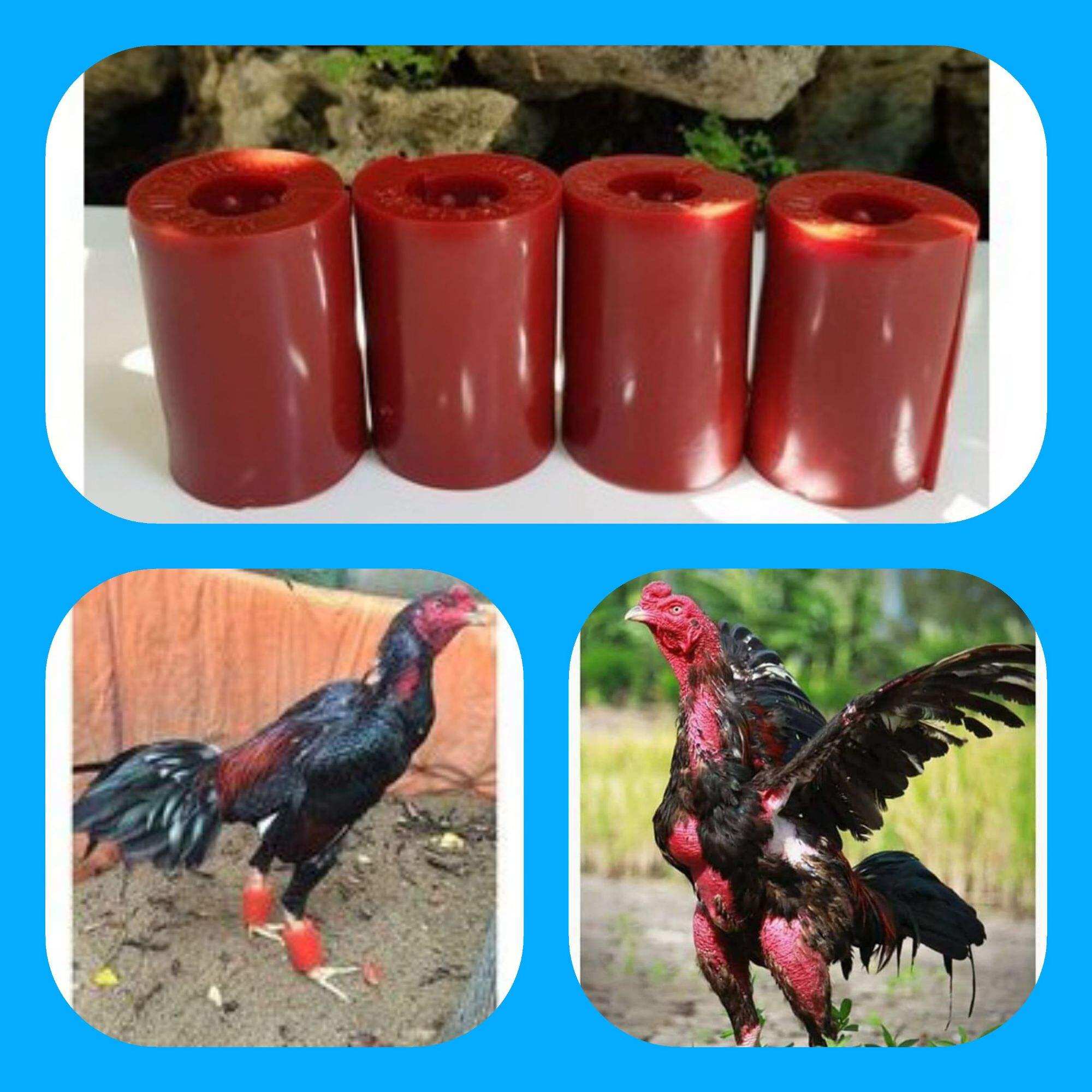 Tạ cao su đeo chân gà tập lực ,, vần gà ( combo 2 đôi )