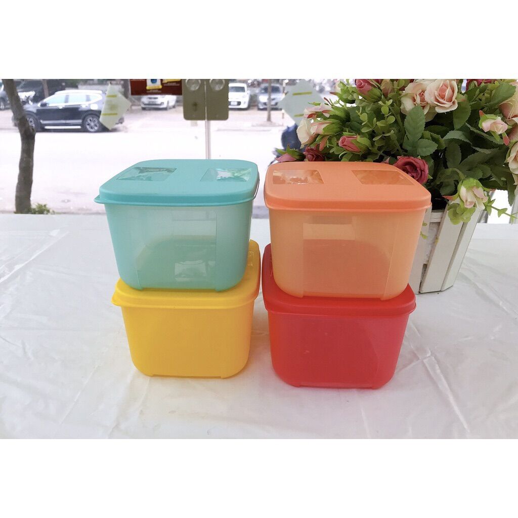 Bộ 4 hộp trữ đông 650ml màu Tupperware