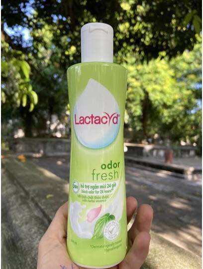 Dung dịch vệ sinh phụ nữ Lactacyd từ lá trầu không