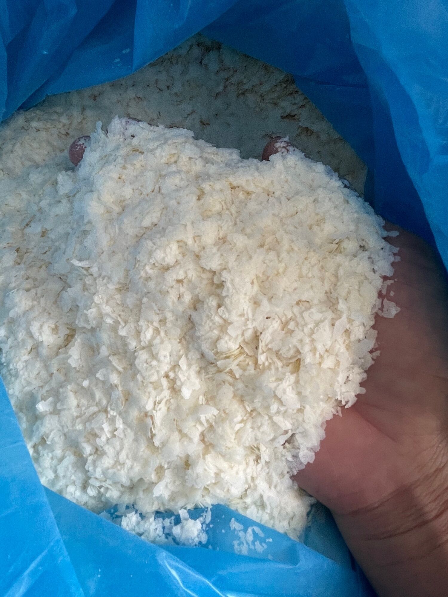 300g bột bông tuyết câu cá