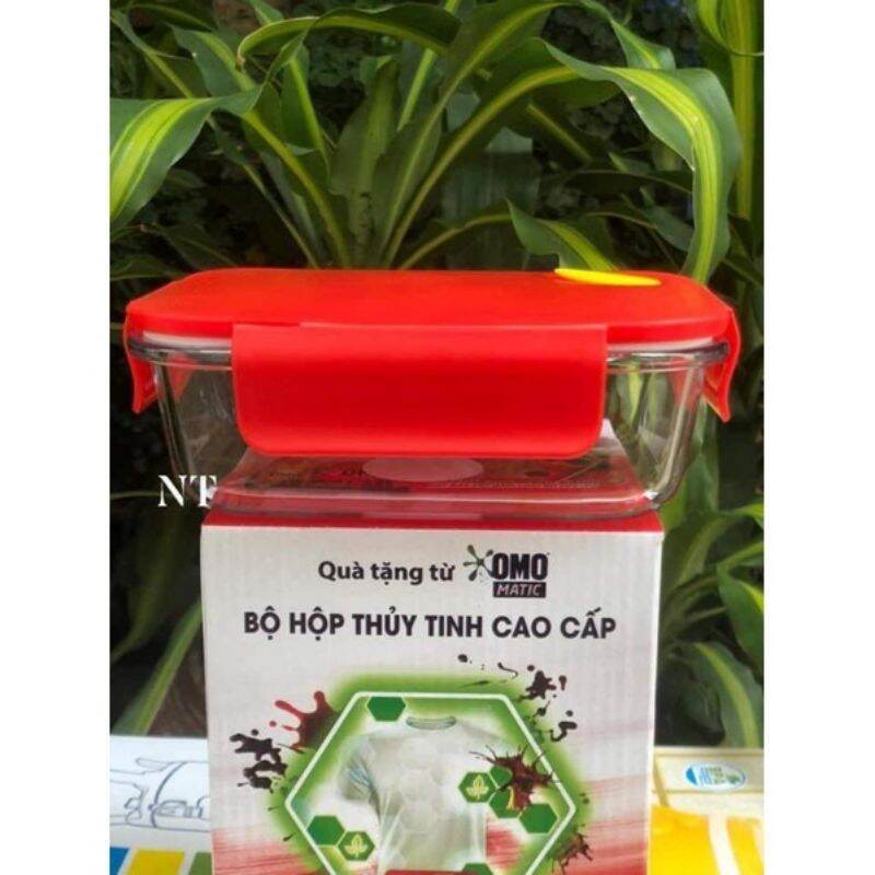 BỘ 2 HỘP THỦY TINH 620ml