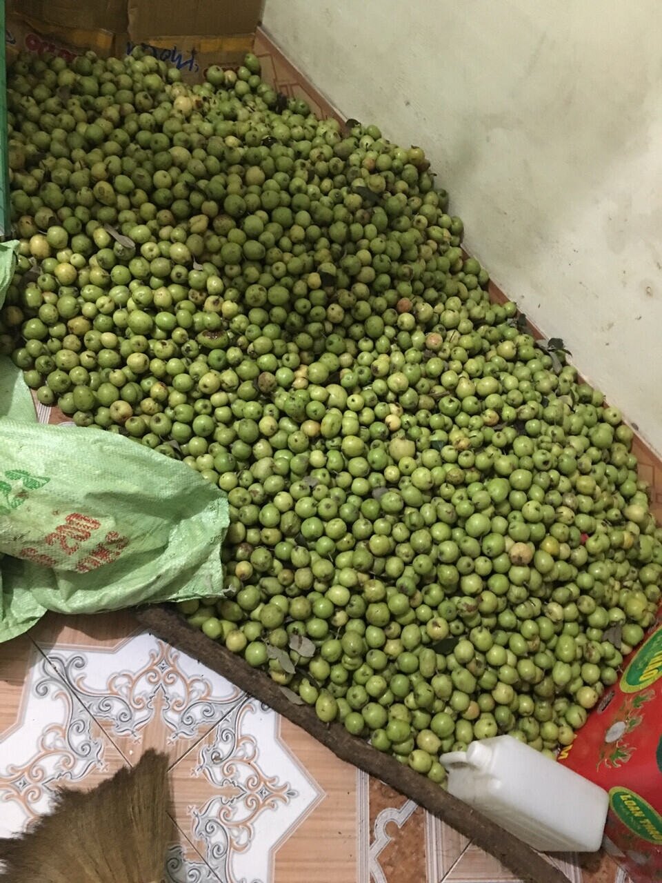1kg quả táo mèo tươi