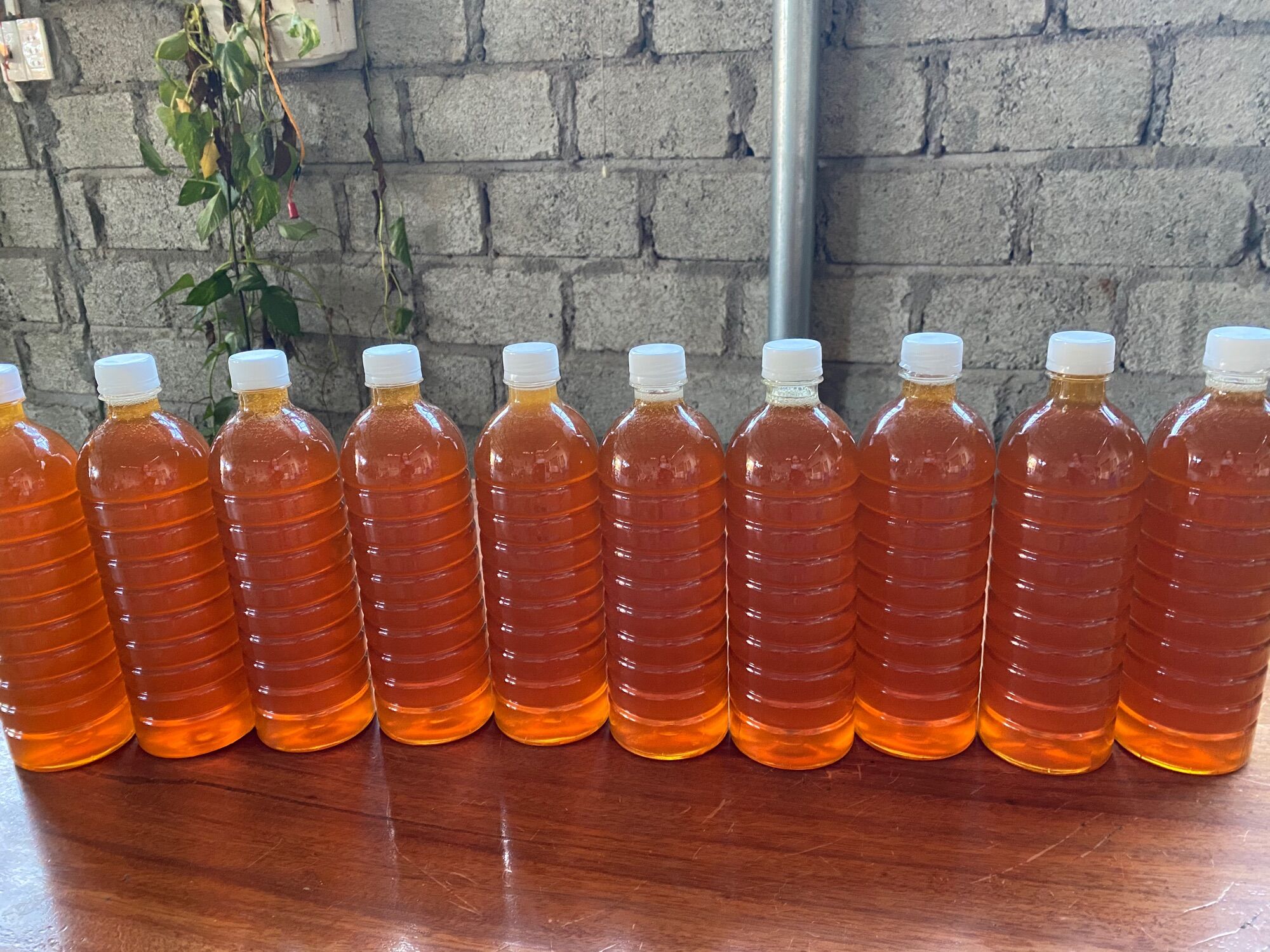 1 lít mật ong nguyên chất hoa cà phê daklak