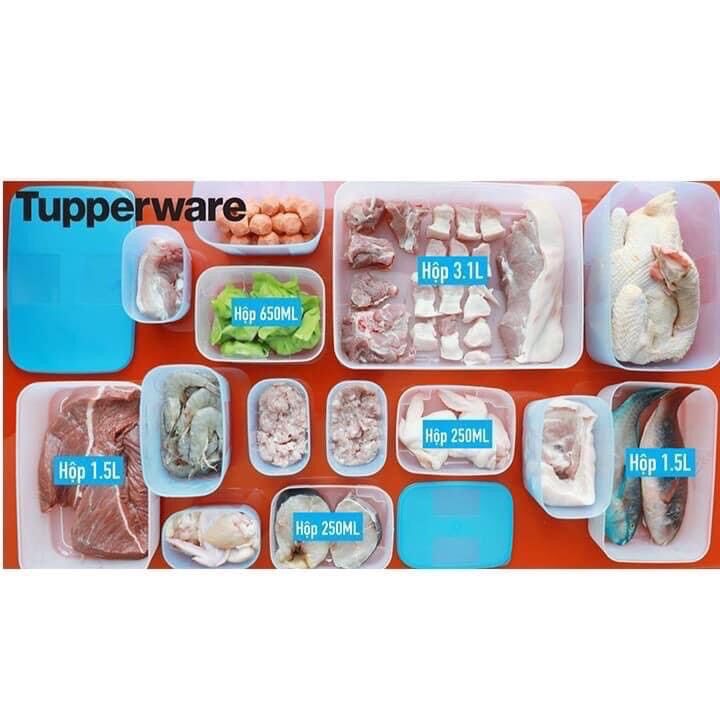 Hộp trữ đông Tupperware Medium Freezermate 1.7L
