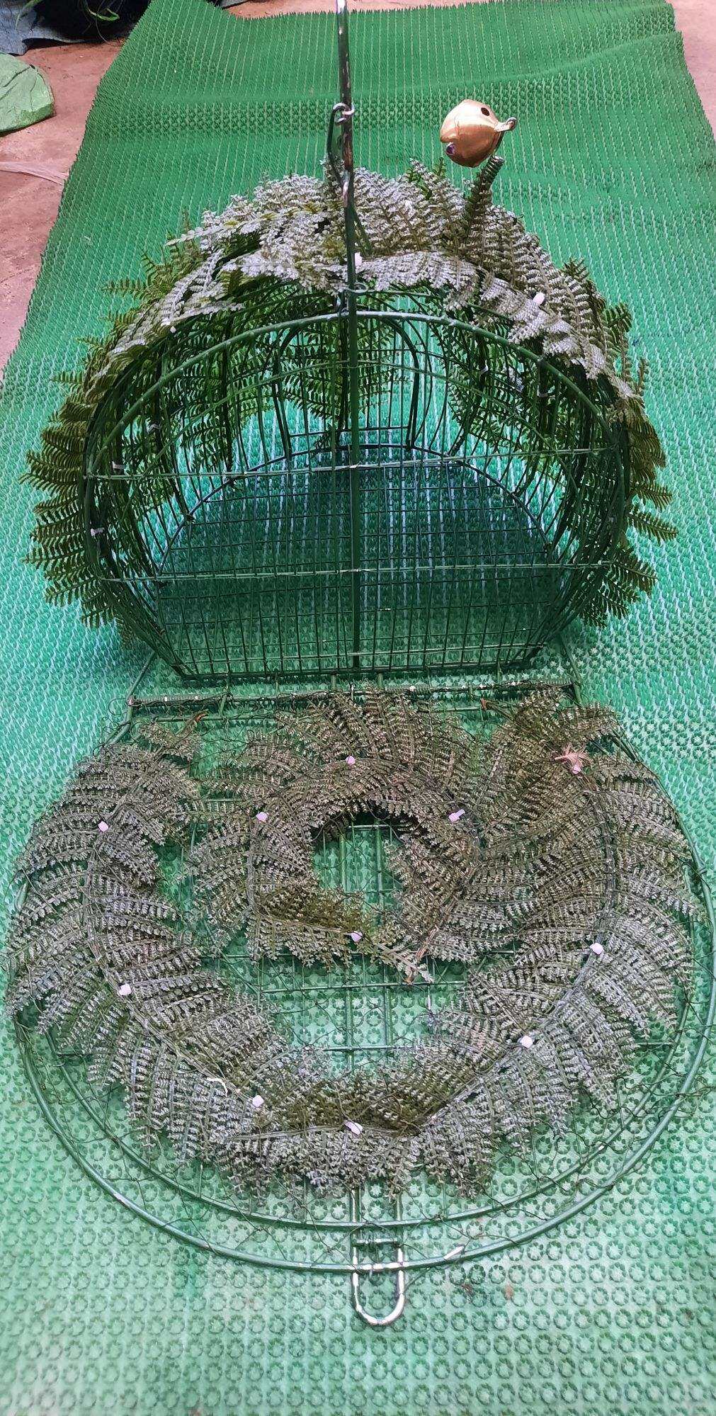 Lụp bẫy Quốc Mẫu 2022