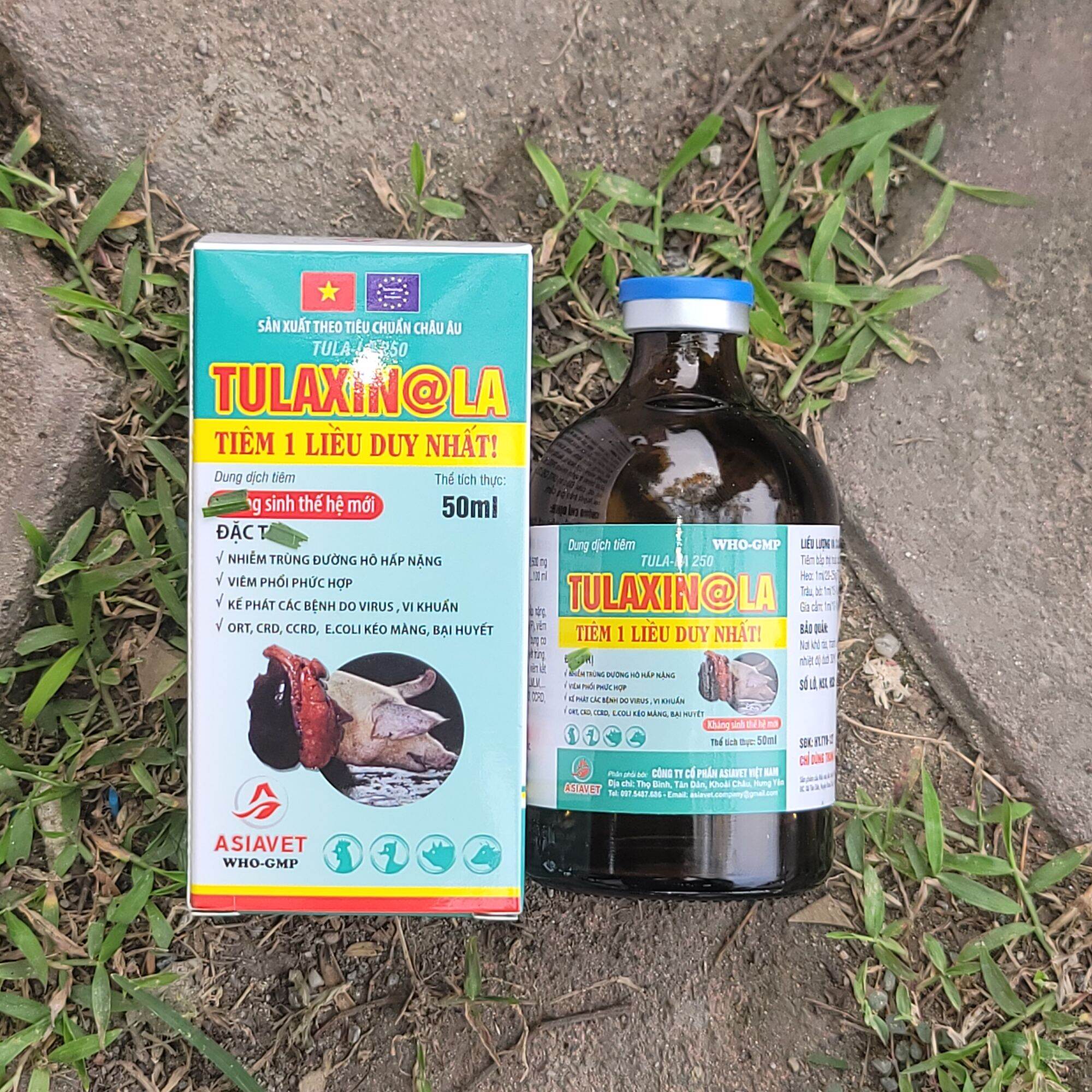 Chai Tulaxin ( tula 250) chuyên hô hấp nặng, viêm phổi phức hợp, thở khó, thở há mồm, kế phát tai xa