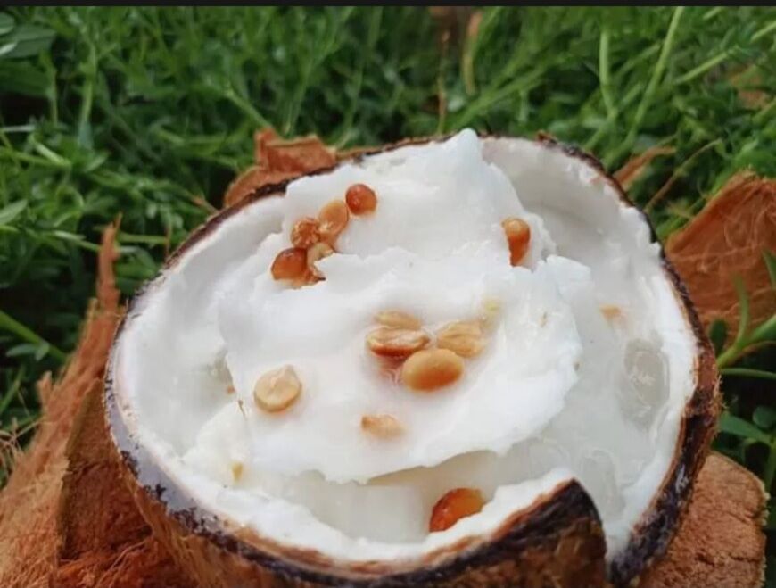 Dừa sáp dạng lỏng , cơm dẻo 1 trái hơn 1kg