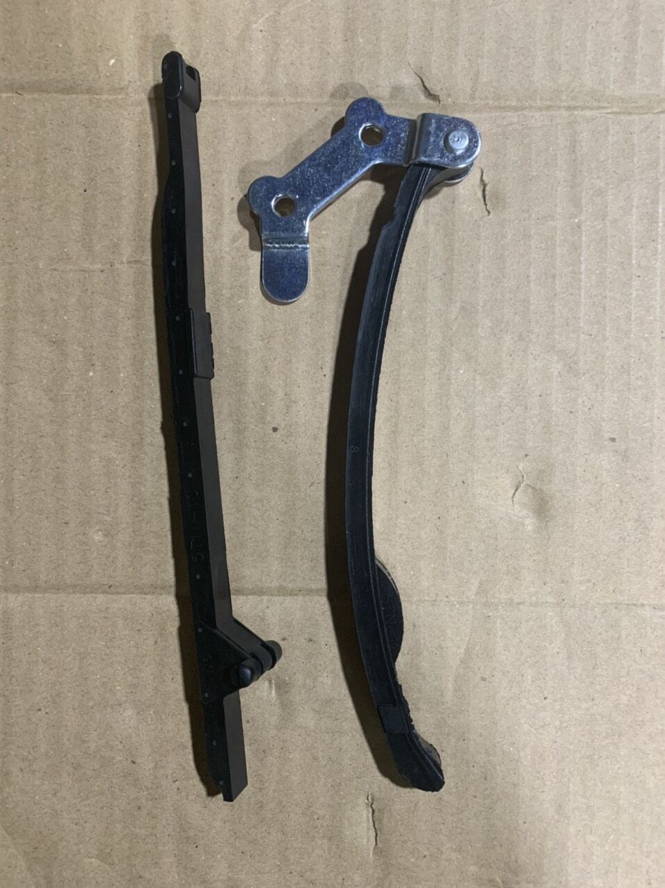 Thằn lằn sirius đỡ sên cam sirius jupiter