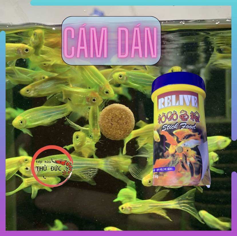 Cám dán relive hũ 50g