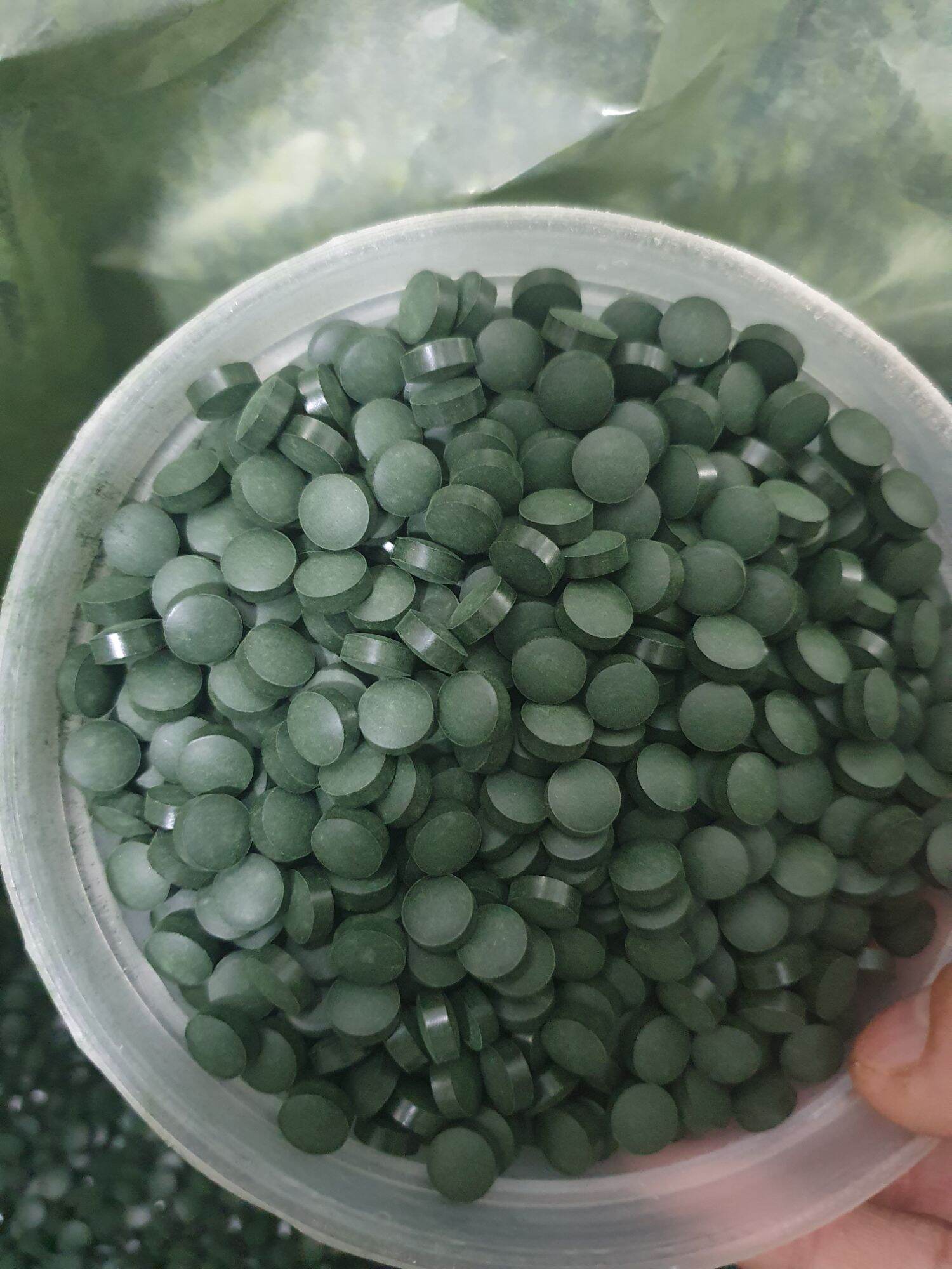 Tảo Viên 500g : thức ăn cho cá , bo bo