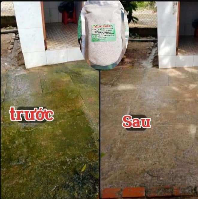 Bột tẩy rong trên nền xi măng