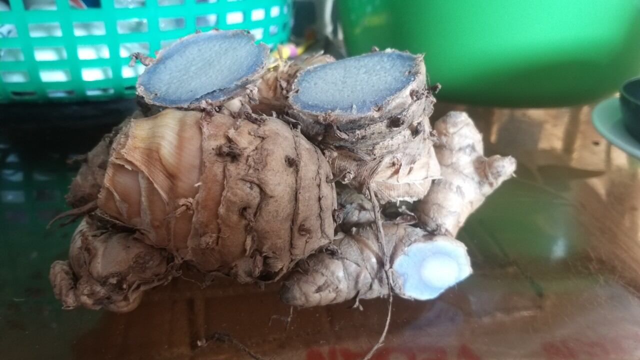 củ nghệ đen tươi 1kg