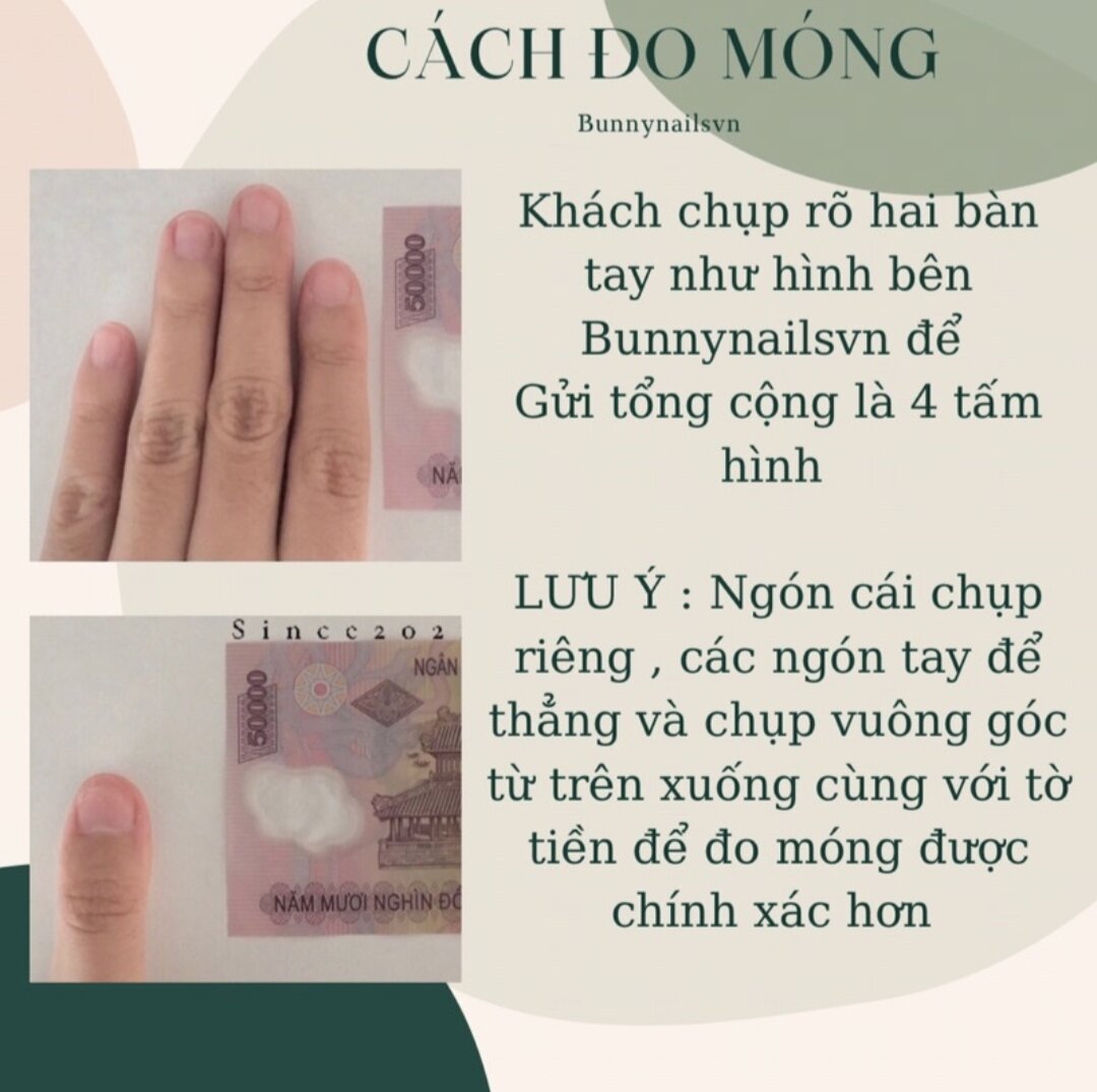 Nail box thiết kế - Móng giả thiết kế