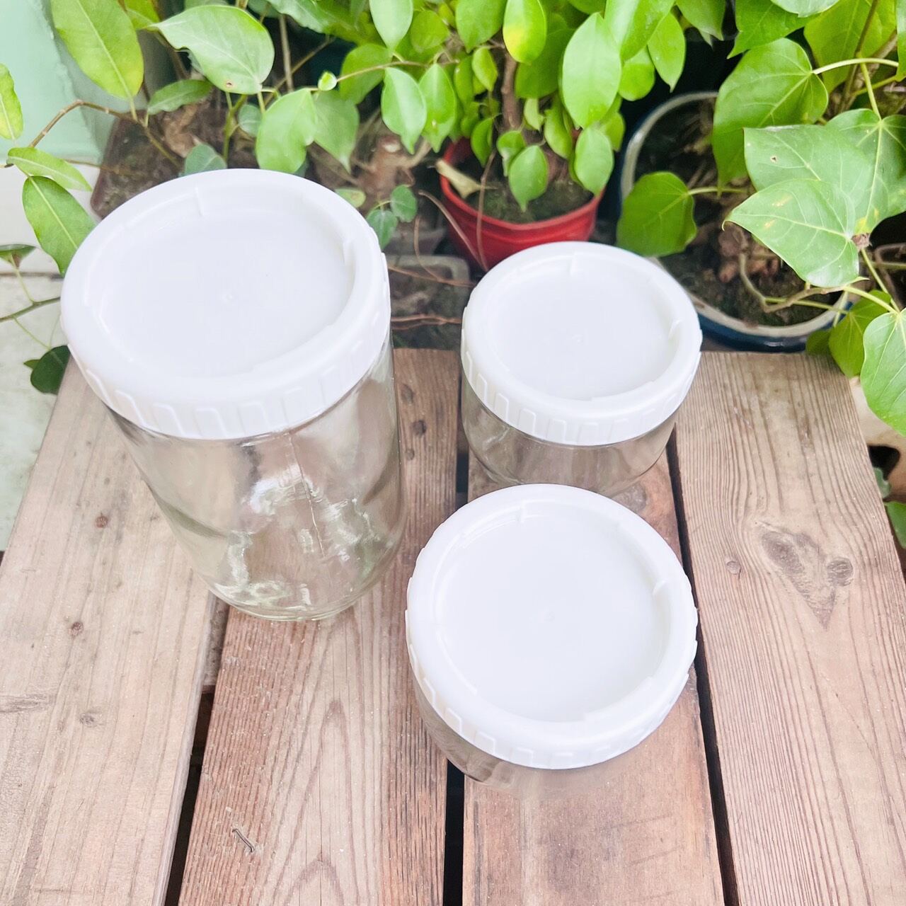 BỘ 3 HỦ THỦY TINH đựng gia vị hoặc đồ muối chua