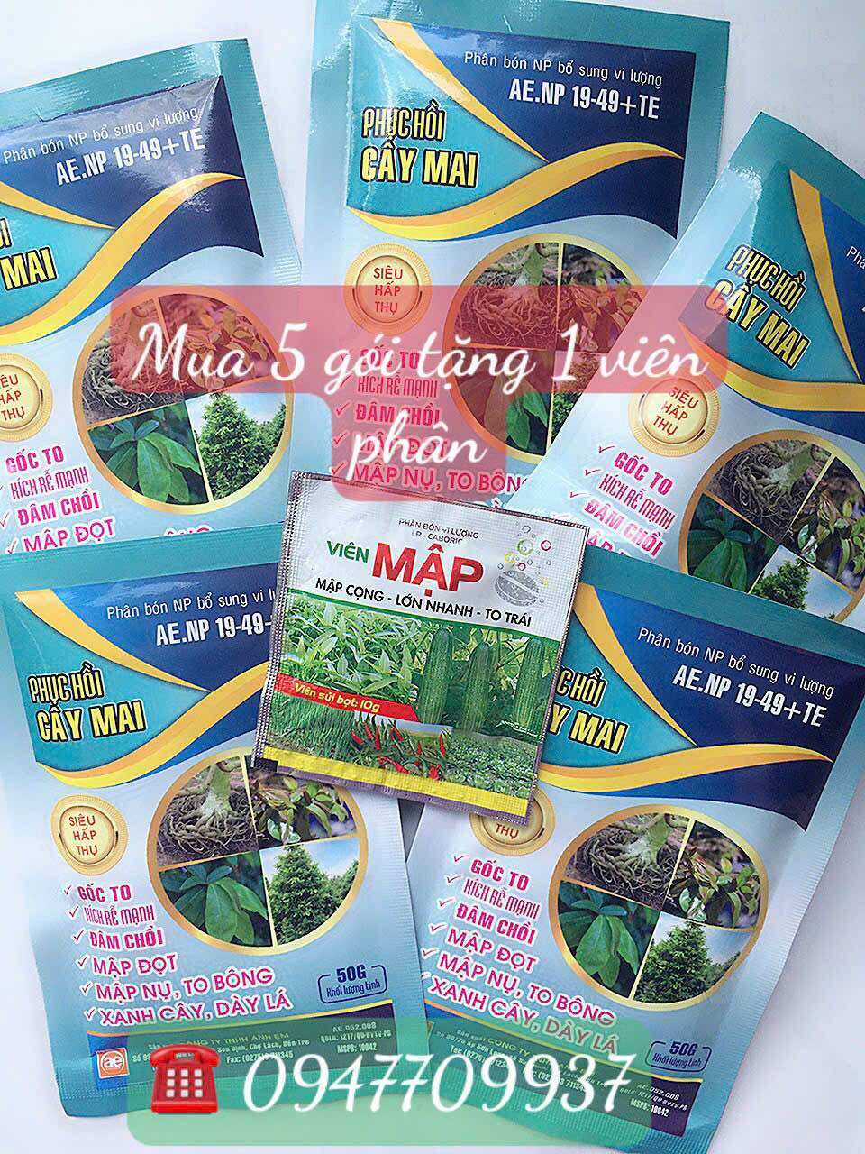 Mua 5 Gói (Tặng 1 Gói Kích Rễ) Phân Bón Phục Hồi Cây Mai Ra Đọt Mạnh, Xanh Cây Dày Lá, Rễ Nhiều, Gốc To, Rễ To, Cây Cắt Tỉa Ra Rễ Mạnh, Đâm Chồi Nhanh, Lá Tốt Xum Xuê Gói 50 gram