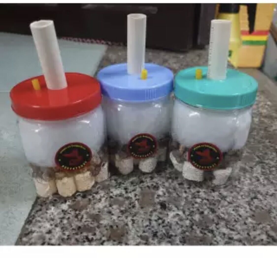 Lọc bio chế. lọc cặn hồ cá|có vật liệu lọc