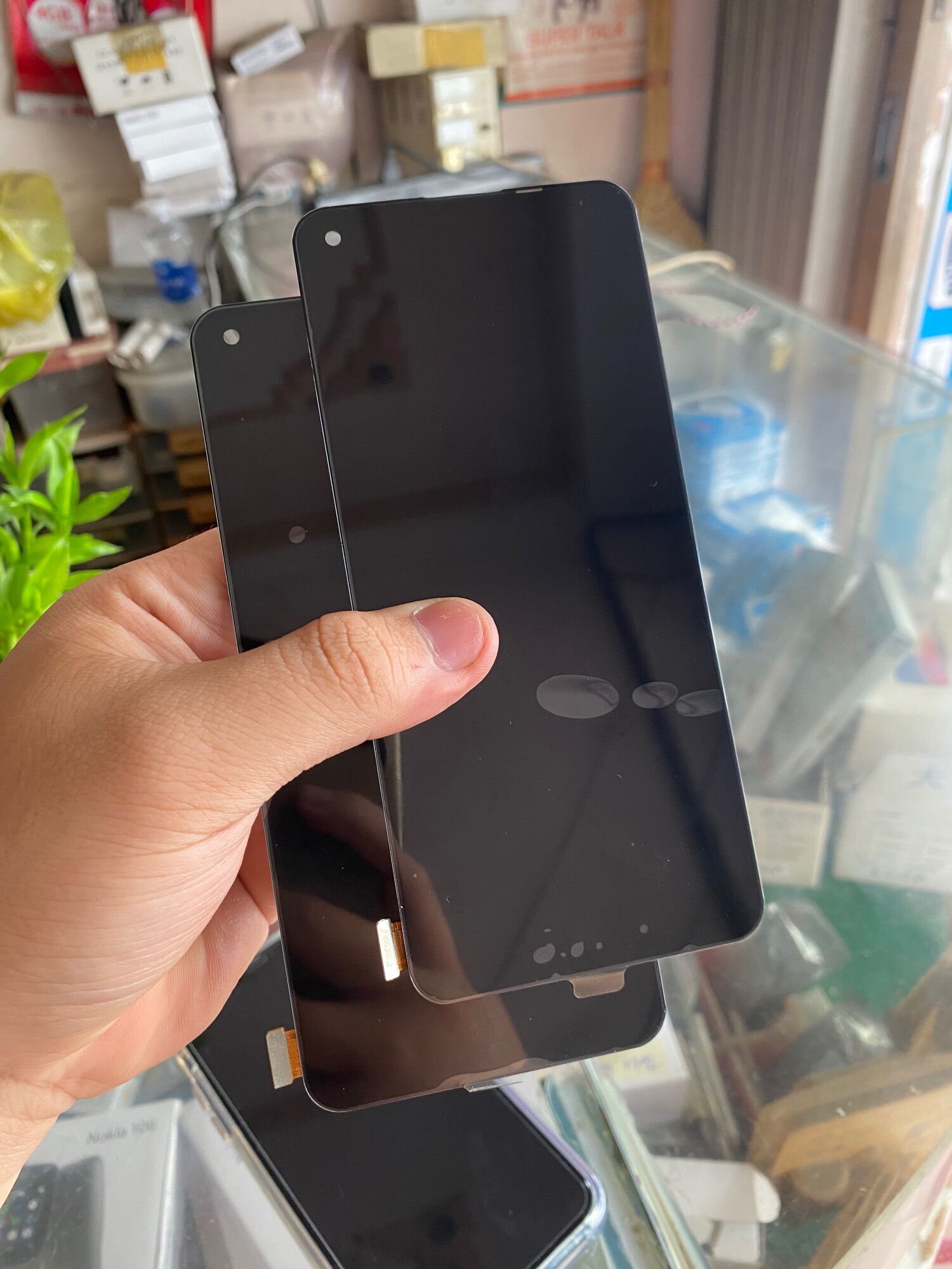 Màn hình oppo reno 5 4g
