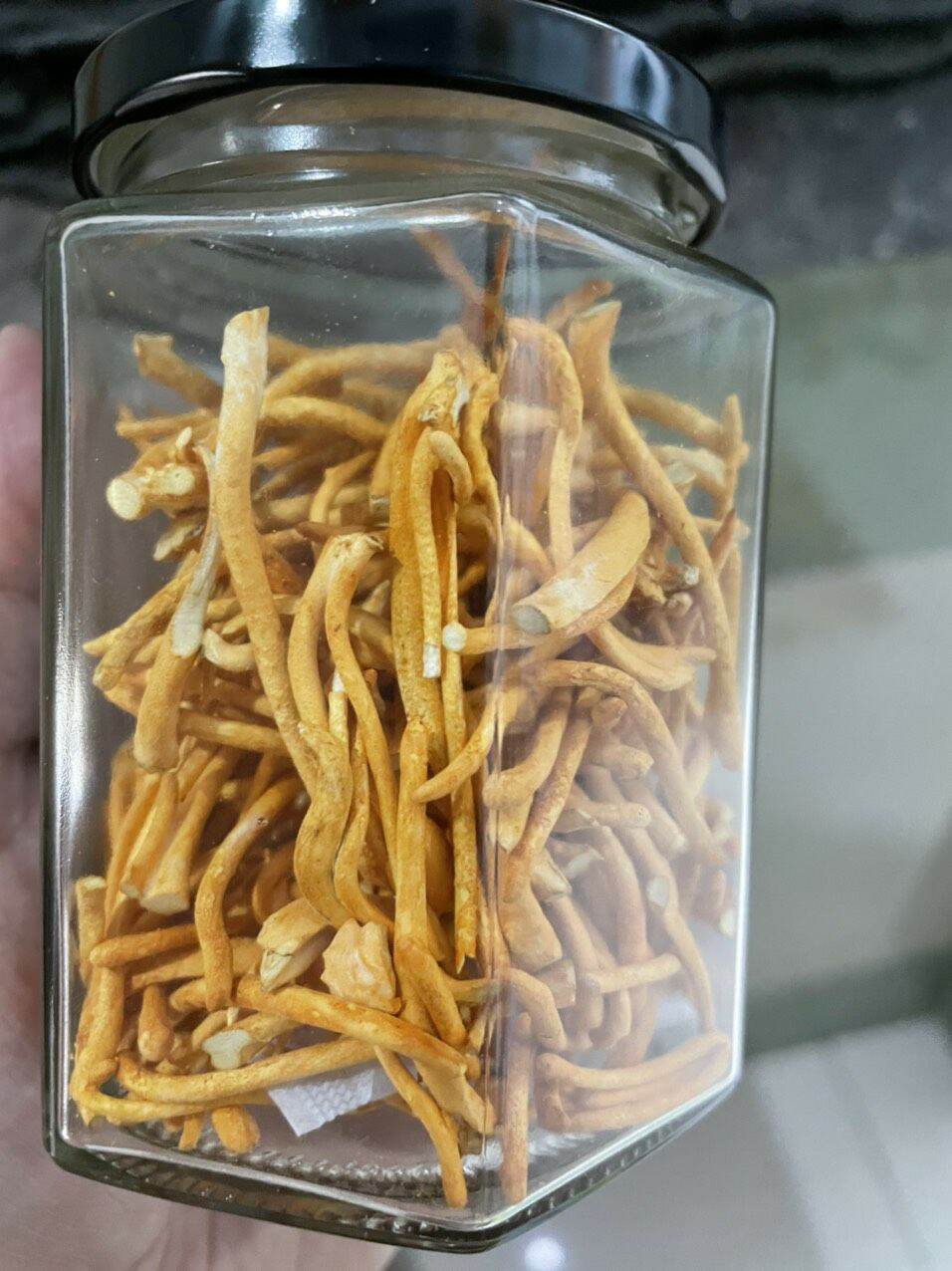 Đông trùng hạ thảo khô- hộp 10gr