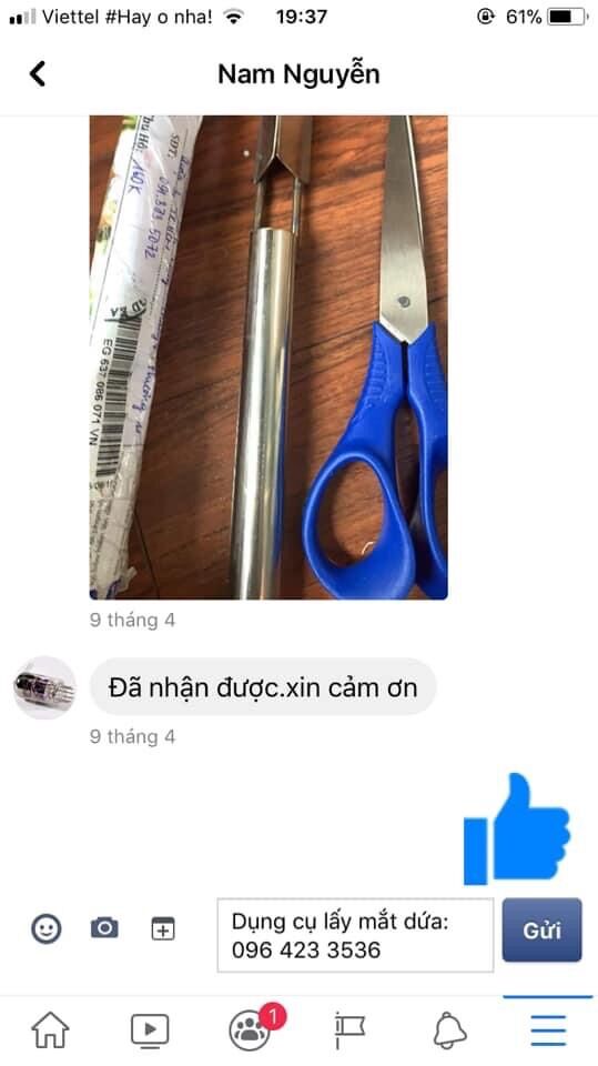 Dao lấy mắt dứa/ tỉa mắt dứa